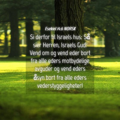 Picture 04 - Esekiel 14:6 NORSK - Si derfor til Israels hus: Så sier Herren, - Bible Verse Picture