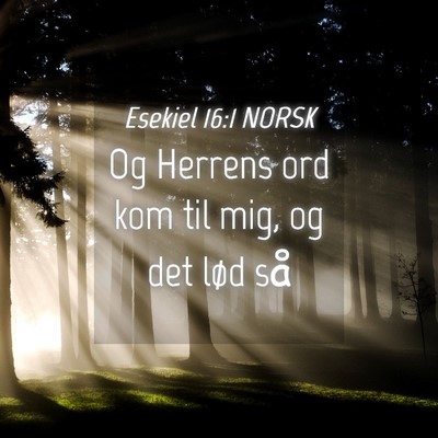 Picture 04 - Esekiel 16:1 NORSK - Og Herrens ord kom til mig, og det lød - Bible Verse Picture