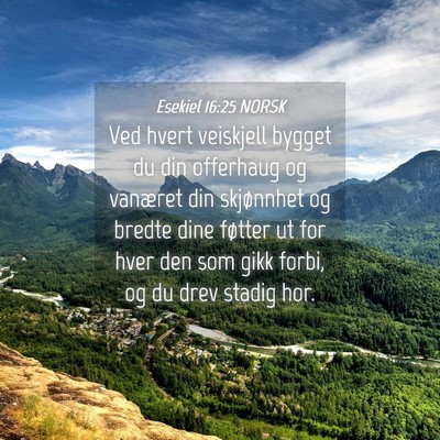 Picture 04 - Esekiel 16:25 NORSK - Ved hvert veiskjell bygget du din offerhaug og - Bible Verse Picture
