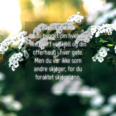 Picture 04 - Esekiel 16:31 NORSK - da du bygget din hvelving ved hvert veiskjell og - Bible Verse Picture