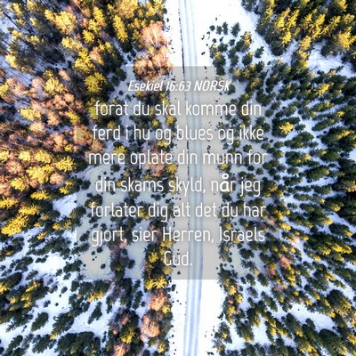 Picture 04 - Esekiel 16:63 NORSK - forat du skal komme din ferd i hu og blues og - Bible Verse Picture