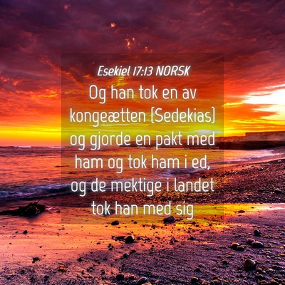 Picture 04 - Esekiel 17:13 NORSK - Og han tok en av kongeætten {Sedekias} og gjorde - Bible Verse Picture
