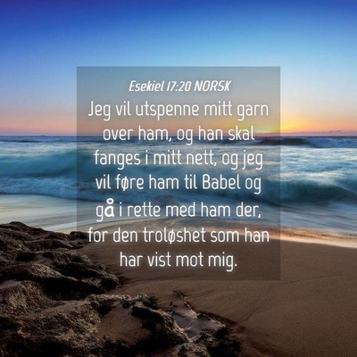 Picture 04 - Esekiel 17:20 NORSK - Jeg vil utspenne mitt garn over ham, og han skal - Bible Verse Picture