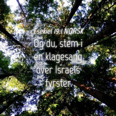 Picture 04 - Esekiel 19:1 NORSK - Og du, stem i en klagesang over Israels - Bible Verse Picture