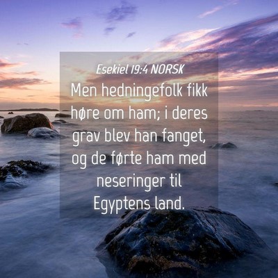 Picture 04 - Esekiel 19:4 NORSK - Men hedningefolk fikk høre om ham; i deres grav - Bible Verse Picture
