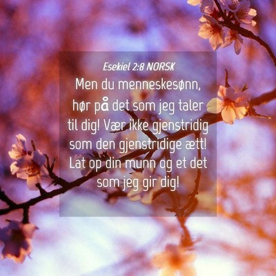 Picture 04 - Esekiel 2:8 NORSK - Men du menneskesønn, hør på det som jeg taler - Bible Verse Picture