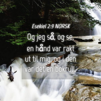 Picture 04 - Esekiel 2:9 NORSK - Og jeg så, og se, en hånd var rakt ut til mig, - Bible Verse Picture