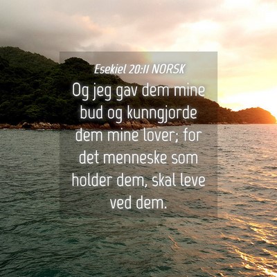 Picture 04 - Esekiel 20:11 NORSK - Og jeg gav dem mine bud og kunngjorde dem mine - Bible Verse Picture
