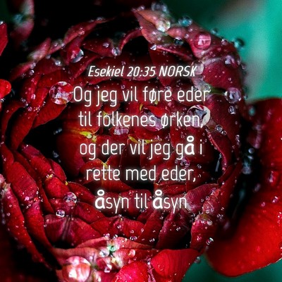 Picture 04 - Esekiel 20:35 NORSK - Og jeg vil føre eder til folkenes ørken, og der - Bible Verse Picture