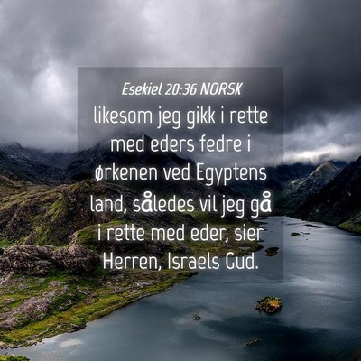 Picture 04 - Esekiel 20:36 NORSK - likesom jeg gikk i rette med eders fedre i - Bible Verse Picture