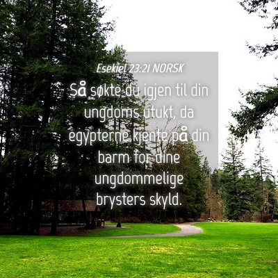 Picture 04 - Esekiel 23:21 NORSK - Så søkte du igjen til din ungdoms utukt, da - Bible Verse Picture