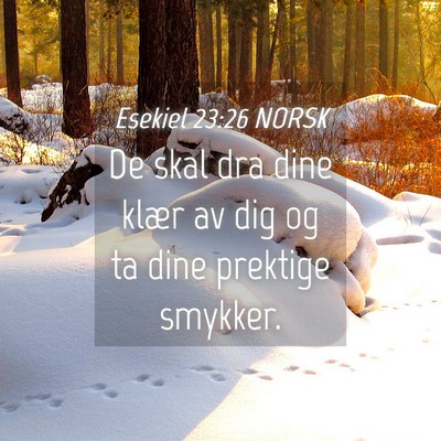 Picture 04 - Esekiel 23:26 NORSK - De skal dra dine klær av dig og ta dine prektige - Bible Verse Picture