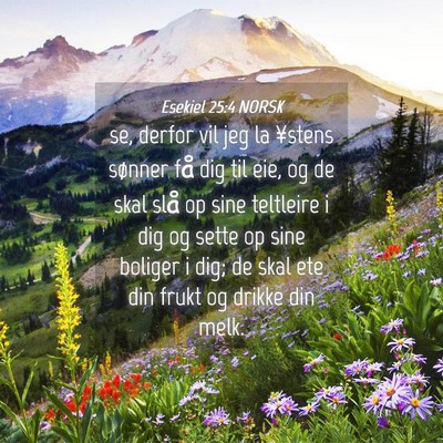 Picture 04 - Esekiel 25:4 NORSK - se, derfor vil jeg la ¥stens sønner få dig til - Bible Verse Picture