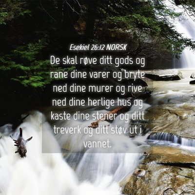 Picture 04 - Esekiel 26:12 NORSK - De skal røve ditt gods og rane dine varer og - Bible Verse Picture