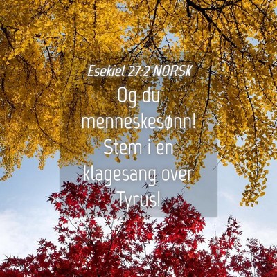Picture 04 - Esekiel 27:2 NORSK - Og du menneskesønn! Stem i en klagesang over - Bible Verse Picture
