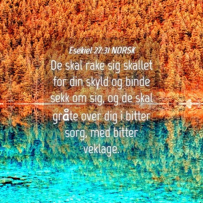 Picture 04 - Esekiel 27:31 NORSK - De skal rake sig skallet for din skyld og binde - Bible Verse Picture