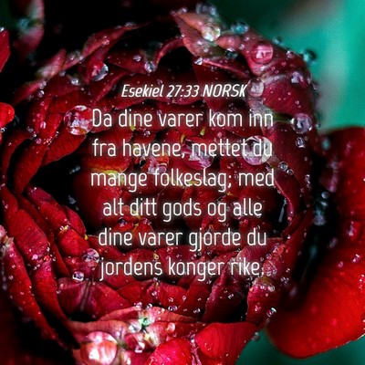 Picture 04 - Esekiel 27:33 NORSK - Da dine varer kom inn fra havene, mettet du mange - Bible Verse Picture