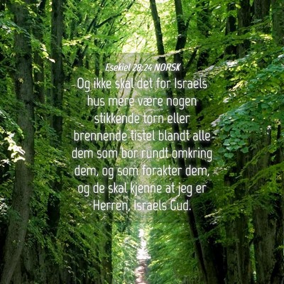 Picture 04 - Esekiel 28:24 NORSK - Og ikke skal det for Israels hus mere være nogen - Bible Verse Picture