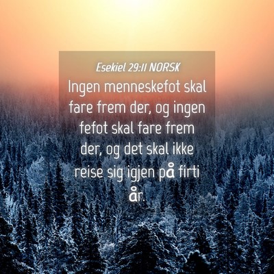 Picture 04 - Esekiel 29:11 NORSK - Ingen menneskefot skal fare frem der, og ingen - Bible Verse Picture