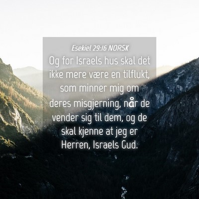 Picture 04 - Esekiel 29:16 NORSK - Og for Israels hus skal det ikke mere være en - Bible Verse Picture