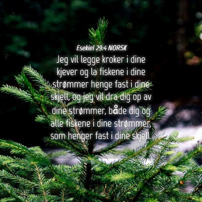 Picture 04 - Esekiel 29:4 NORSK - Jeg vil legge kroker i dine kjever og la fiskene - Bible Verse Picture