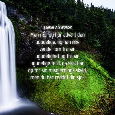 Picture 04 - Esekiel 3:19 NORSK - Men når du har advart den ugudelige, og han ikke - Bible Verse Picture