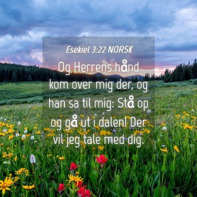 Picture 04 - Esekiel 3:22 NORSK - Og Herrens hånd kom over mig der, og han sa til - Bible Verse Picture