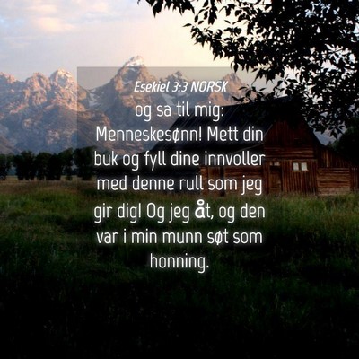 Picture 04 - Esekiel 3:3 NORSK - og sa til mig: Menneskesønn! Mett din buk og - Bible Verse Picture