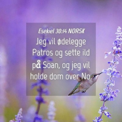 Picture 04 - Esekiel 30:14 NORSK - Jeg vil ødelegge Patros og sette ild på Soan, - Bible Verse Picture