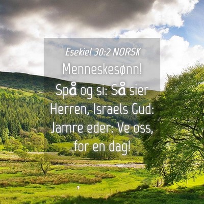 Picture 04 - Esekiel 30:2 NORSK - Menneskesønn! Spå og si: Så sier Herren, - Bible Verse Picture