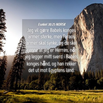 Picture 04 - Esekiel 30:25 NORSK - Jeg vil gjøre Babels konges armer sterke, men - Bible Verse Picture