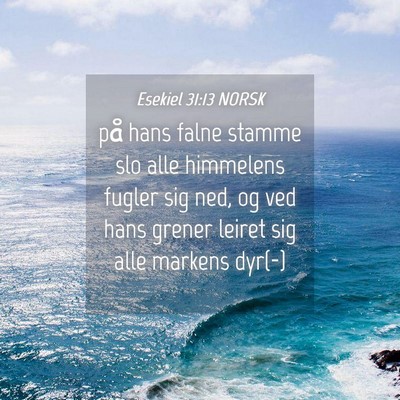 Picture 04 - Esekiel 31:13 NORSK - på hans falne stamme slo alle himmelens fugler - Bible Verse Picture
