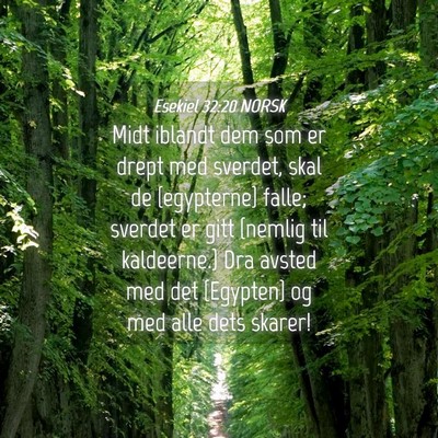 Picture 04 - Esekiel 32:20 NORSK - Midt iblandt dem som er drept med sverdet, skal - Bible Verse Picture