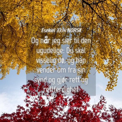 Picture 04 - Esekiel 33:14 NORSK - Og når jeg sier til den ugudelige: Du skal - Bible Verse Picture