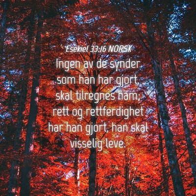 Picture 04 - Esekiel 33:16 NORSK - Ingen av de synder som han har gjort, skal - Bible Verse Picture