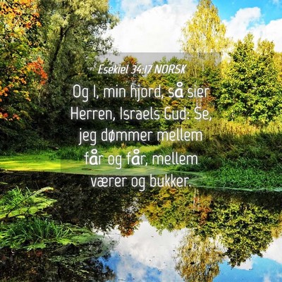 Picture 04 - Esekiel 34:17 NORSK - Og I, min hjord, så sier Herren, Israels Gud: - Bible Verse Picture