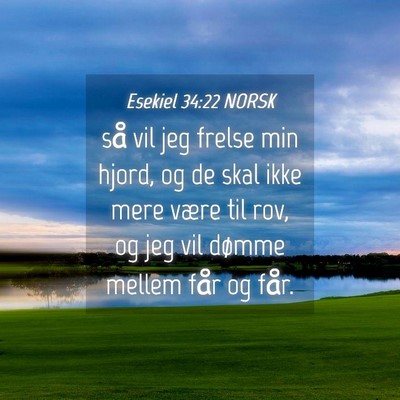 Picture 04 - Esekiel 34:22 NORSK - så vil jeg frelse min hjord, og de skal ikke - Bible Verse Picture