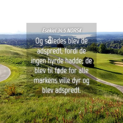 Picture 04 - Esekiel 34:5 NORSK - Og således blev de adspredt, fordi de ingen - Bible Verse Picture