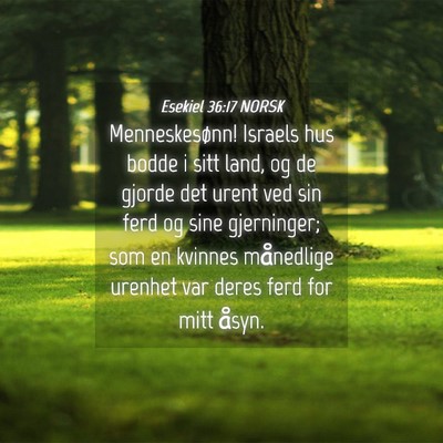 Picture 04 - Esekiel 36:17 NORSK - Menneskesønn! Israels hus bodde i sitt land, og - Bible Verse Picture
