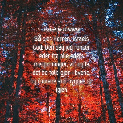 Picture 04 - Esekiel 36:33 NORSK - Så sier Herren, Israels Gud: Den dag jeg renser - Bible Verse Picture