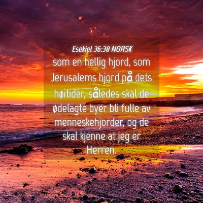 Picture 04 - Esekiel 36:38 NORSK - som en hellig hjord, som Jerusalems hjord på - Bible Verse Picture