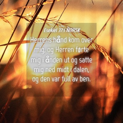 Picture 04 - Esekiel 37:1 NORSK - Herrens hånd kom over mig, og Herren førte mig - Bible Verse Picture