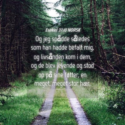 Picture 04 - Esekiel 37:10 NORSK - Og jeg spådde således som han hadde befalt mig, - Bible Verse Picture