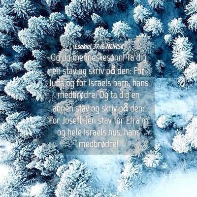 Picture 04 - Esekiel 37:16 NORSK - Og du menneskesønn! Ta dig en stav og skriv på - Bible Verse Picture