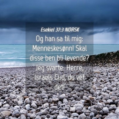 Picture 04 - Esekiel 37:3 NORSK - Og han sa til mig: Menneskesønn! Skal disse ben - Bible Verse Picture