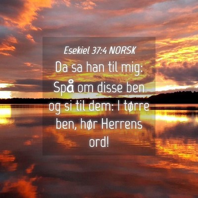 Picture 04 - Esekiel 37:4 NORSK - Da sa han til mig: Spå om disse ben og si til - Bible Verse Picture