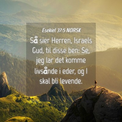 Picture 04 - Esekiel 37:5 NORSK - Så sier Herren, Israels Gud, til disse ben: Se, - Bible Verse Picture
