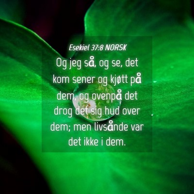 Picture 04 - Esekiel 37:8 NORSK - Og jeg så, og se, det kom sener og kjøtt på - Bible Verse Picture