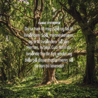 Picture 04 - Esekiel 37:9 NORSK - Da sa han til mig: Spå og tal til livsånden! - Bible Verse Picture
