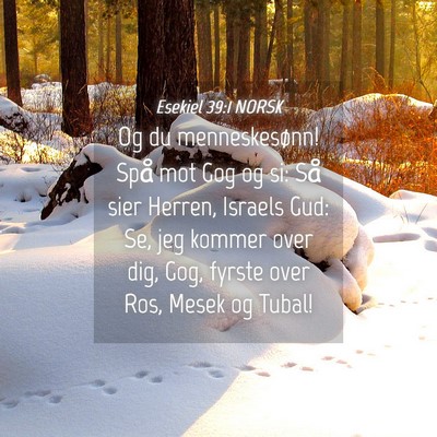 Picture 04 - Esekiel 39:1 NORSK - Og du menneskesønn! Spå mot Gog og si: Så sier - Bible Verse Picture